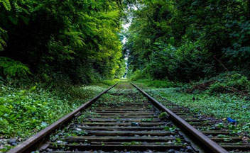 Railway Track through Greenery - 'Best Suitable Technology for Effluent Treatment in Pharma Industry' at GreenleafEnvirotech.